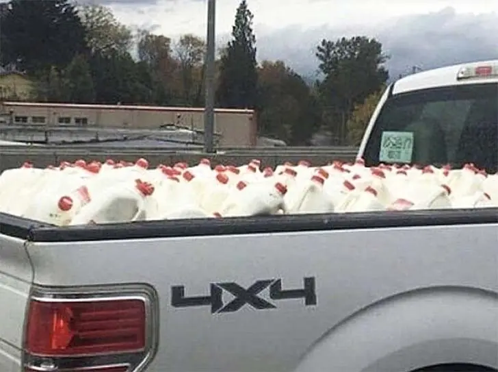 Chicken Abduction Gone Insane