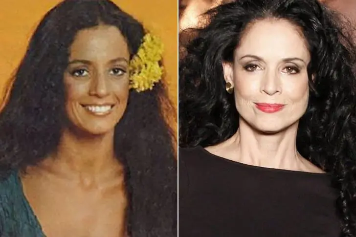 Sônia Braga – 71 Anos