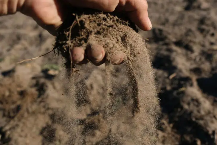 A Farm on the Brink