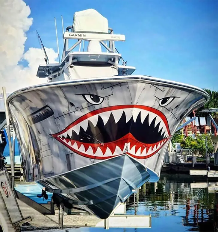 Fierce Boat Shark Teeth and Glare