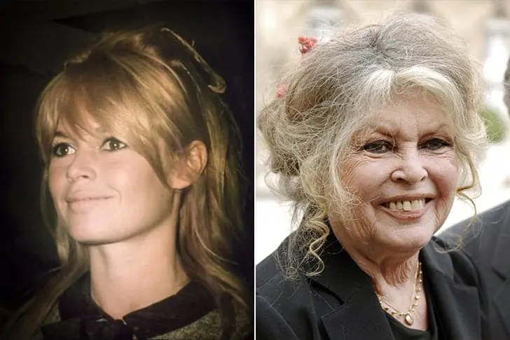 Brigitte Bardot, 85