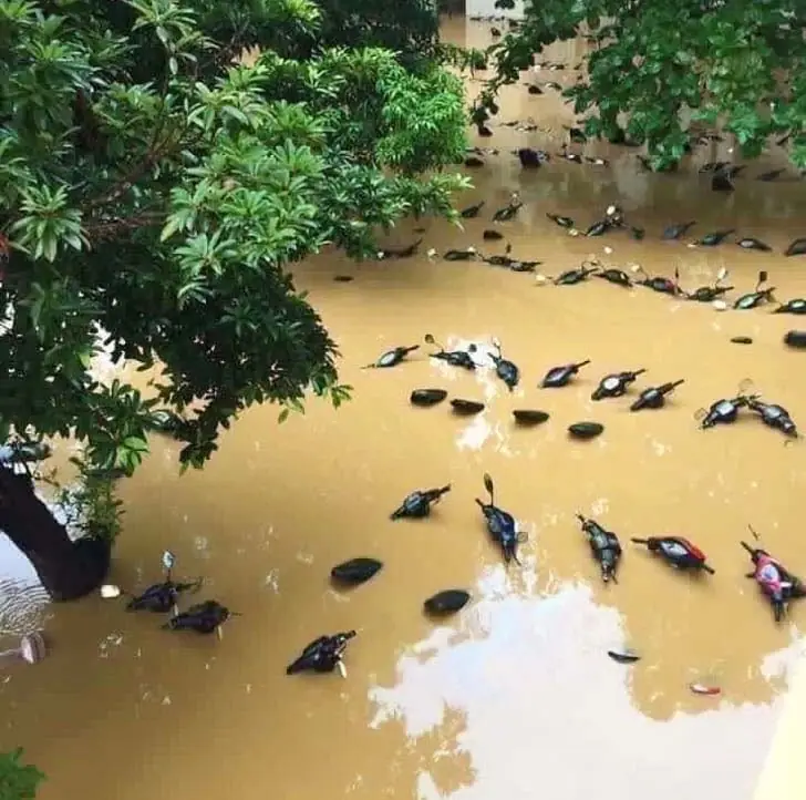 Duck Conference
