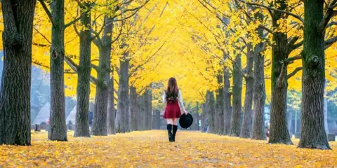 Top 10 Fall Travel Ideas – Best Places to Visit in Autumn