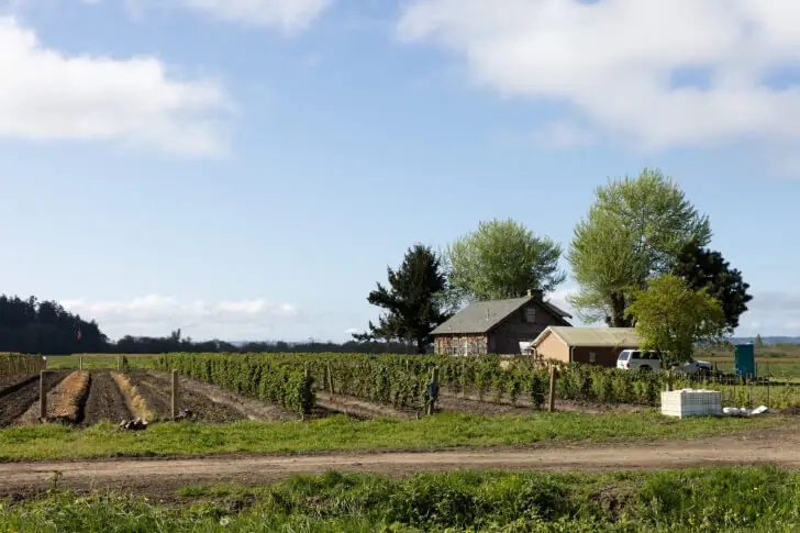 More Than a Farm