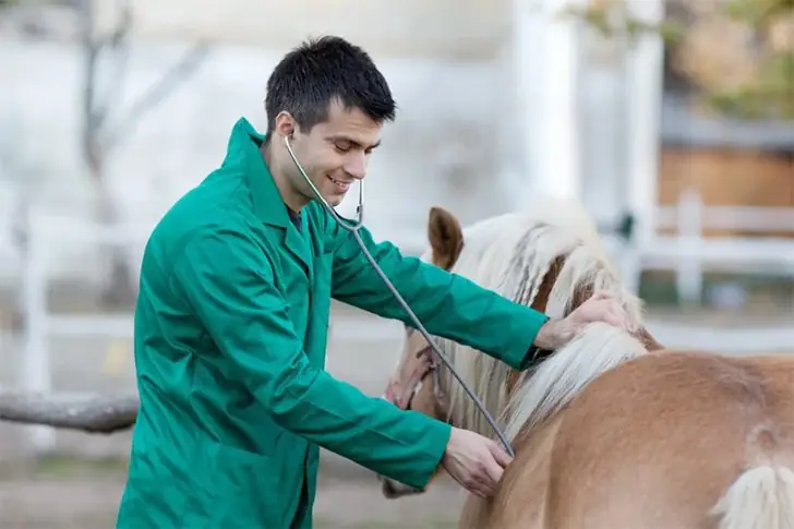 Preparación