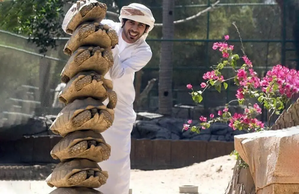 Terrapin Treasures: Emiratis and Their Aquatic Companions in Dubai
