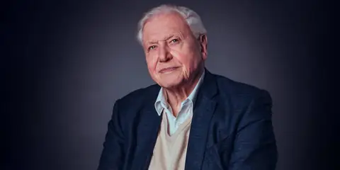 BBC Celebrates David Attenborough’s 100th Birthday With Special Shows