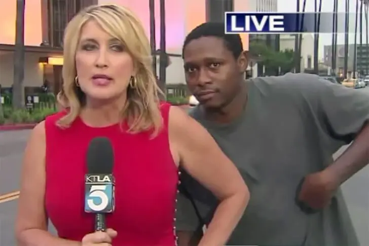 Startling The Reporter