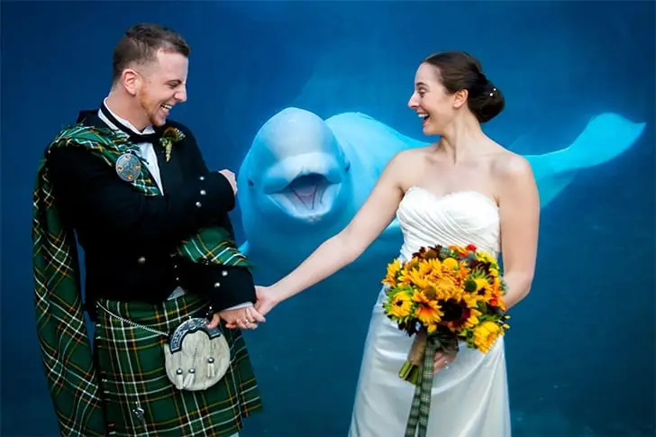 LA MEJOR FOTO DEL ÁLBUM DE CASAMIENTO