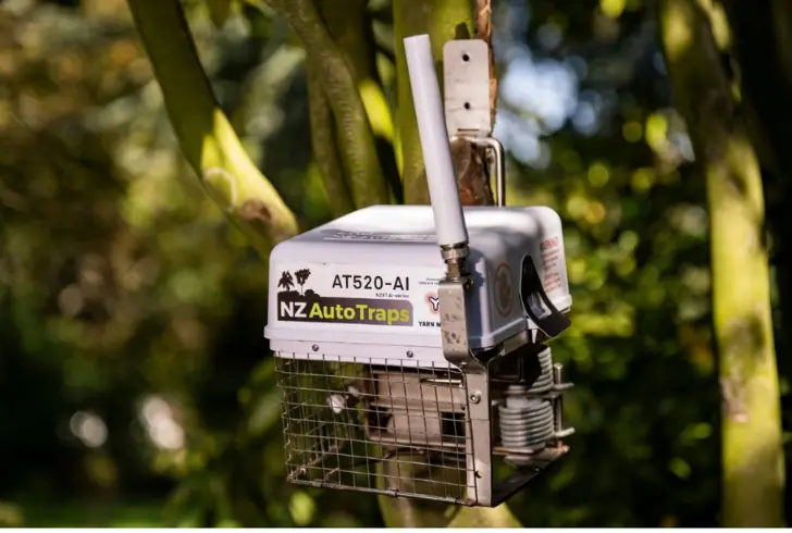 AI trap protecting native birds