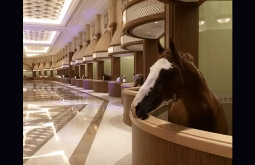 Godolphin Stables: Epitome of Equine Luxury in Dubai