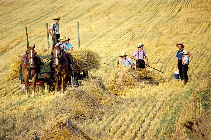 Une succession agricole inversée et profondément symbolique
