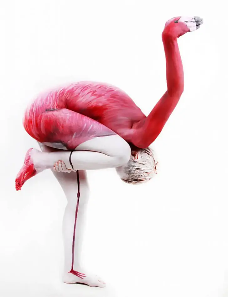 A Flamboyant Flamingo’s Delightful Dance