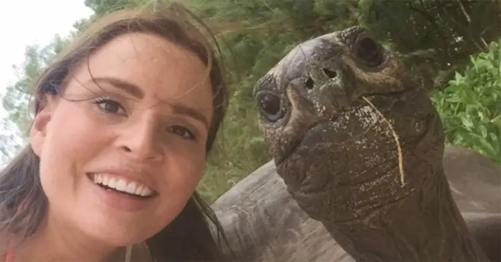 Tortoise Strikes a Pose
