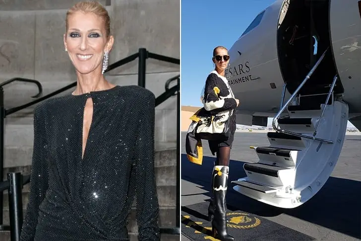 Celine Dion – $800 Million