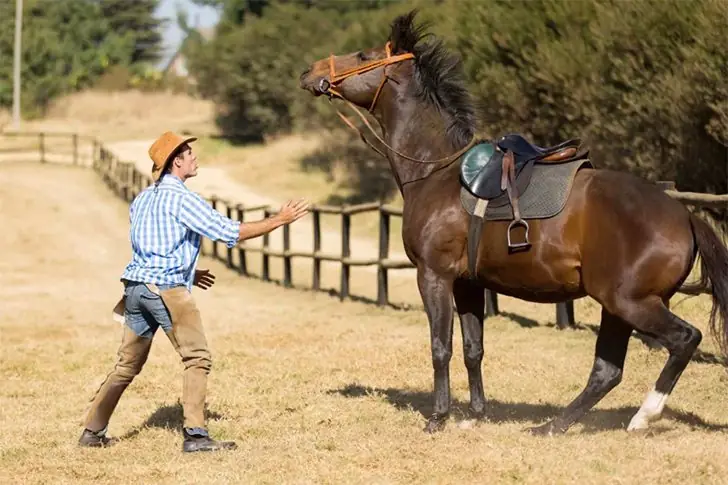 Llegada al rancho