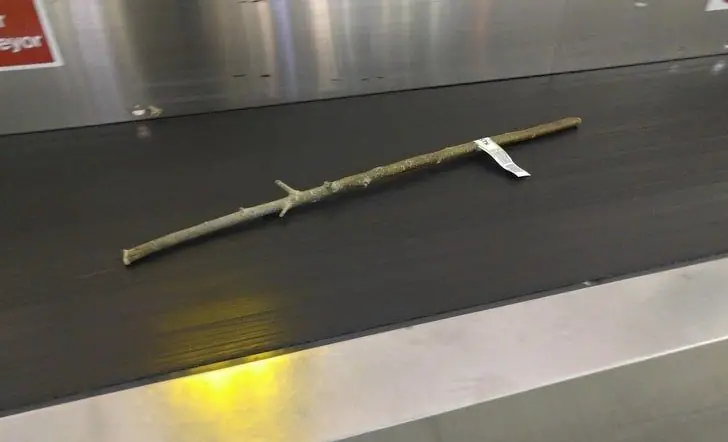 Un palo mágico