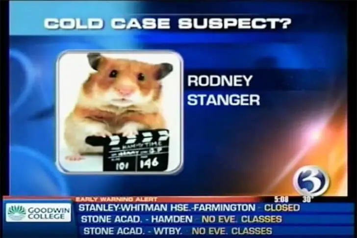 Rodent Instead of Rodney Stanger