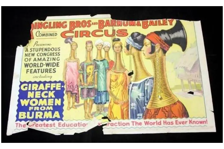 Der menschliche Zirkus