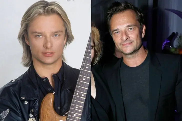 David Hallyday