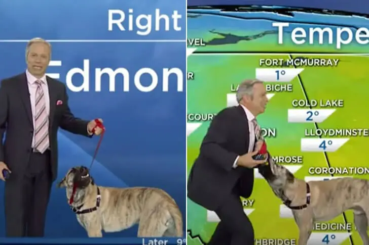 Ripple’s First Weather Presentation