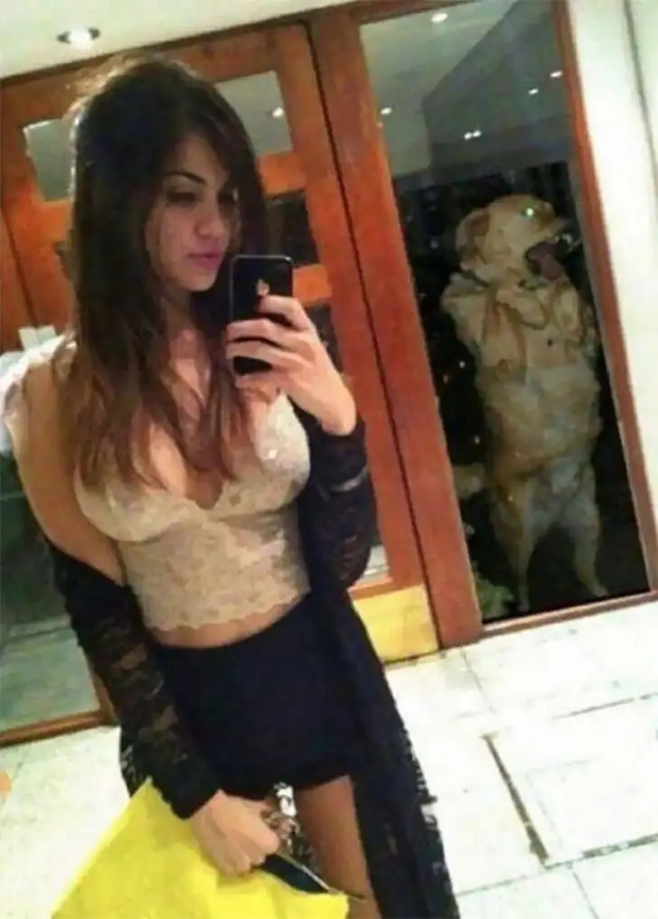A Dog’s Mirror Misadventure