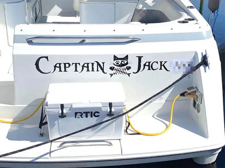 The Meowster of the Seas