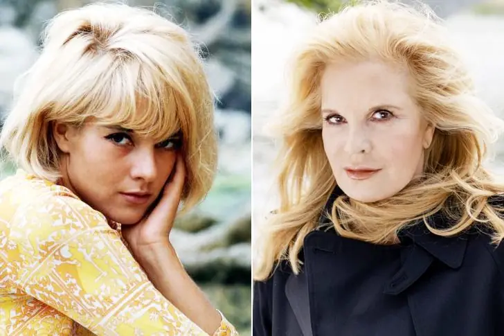 Sylvie Vartan
